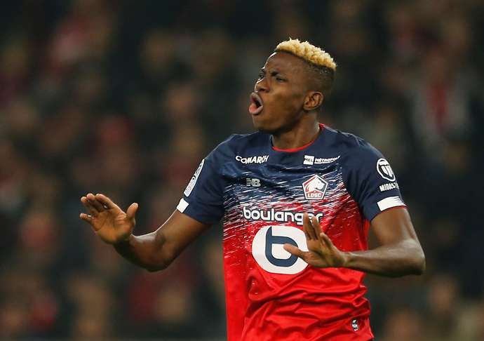 Lille have a star in Osimhen