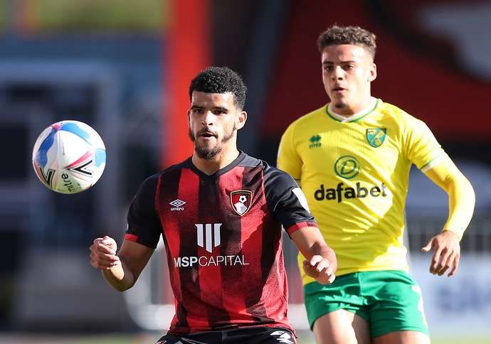 Dominic Solanke in action for Bournemouth