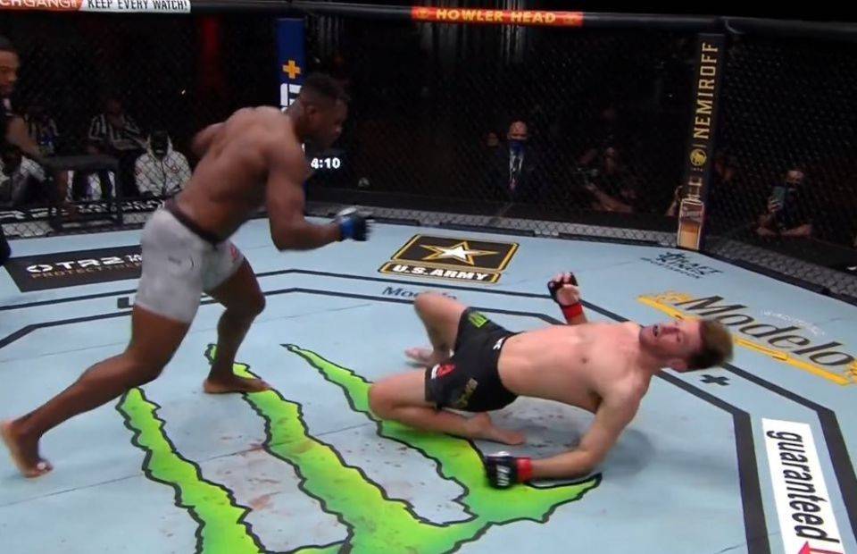 Francis Ngannou is the UFC Heavyweight Champion