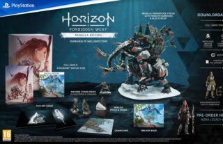 Horizon Forbidden West Collector's Edition.