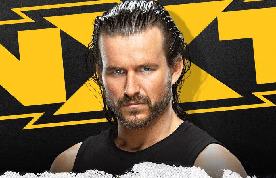 Here's what Adam Cole said about Triple H and Shawn Michaels
