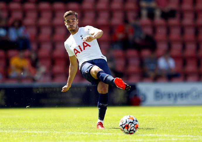 Tottenham midfielder Harry Winks wants a January loan move
