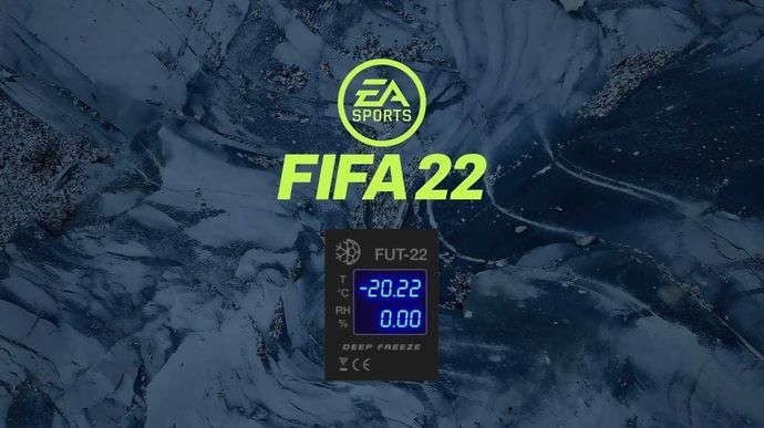 FIFA 22 Freeze