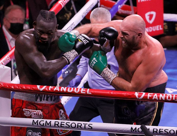 Tyson Fury stopped Deontay Wilder in their October trilogy fight