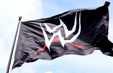 WWE logo flag