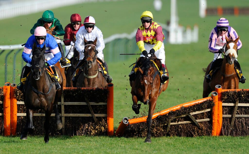  Richard Johnson and Le Rocher (C) make a mess of the hurdle before going on to win