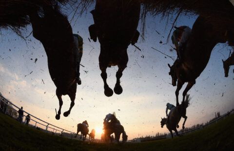 Horses jumping over fence at Cheltenham 2021