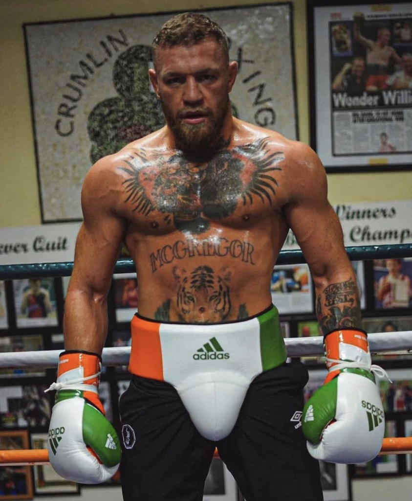 Conor McGregor's current physique