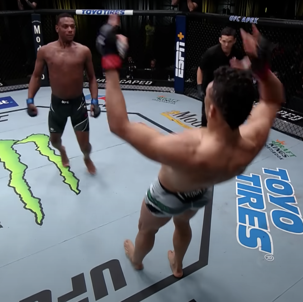 UFC's best knockouts of 2022 so far