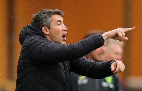 Wolves manager Bruno Lage looking animated on the touchline
