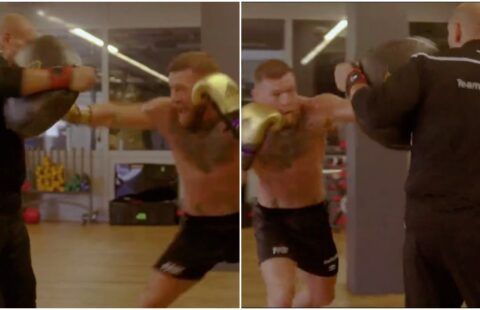 Conor McGregor's new punch in fresh training footage