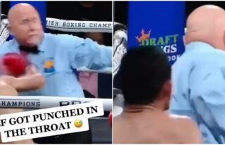 referee-boxing-punched-video