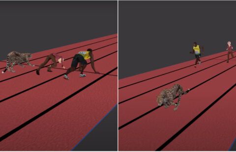 Usain Bolt vs cheetah vs average person in fascinating simulation