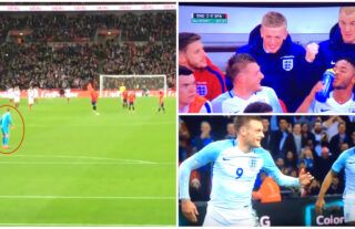 Never forget when England players did the Mannequin Challenge and Joe Hart absolutely loved it