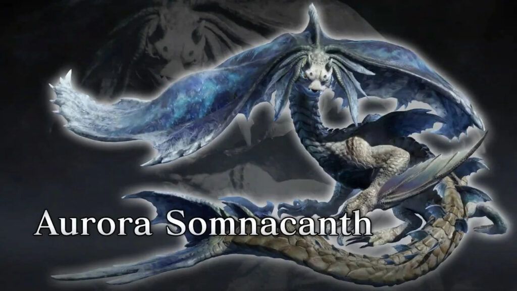 Aurora Somnacanth
