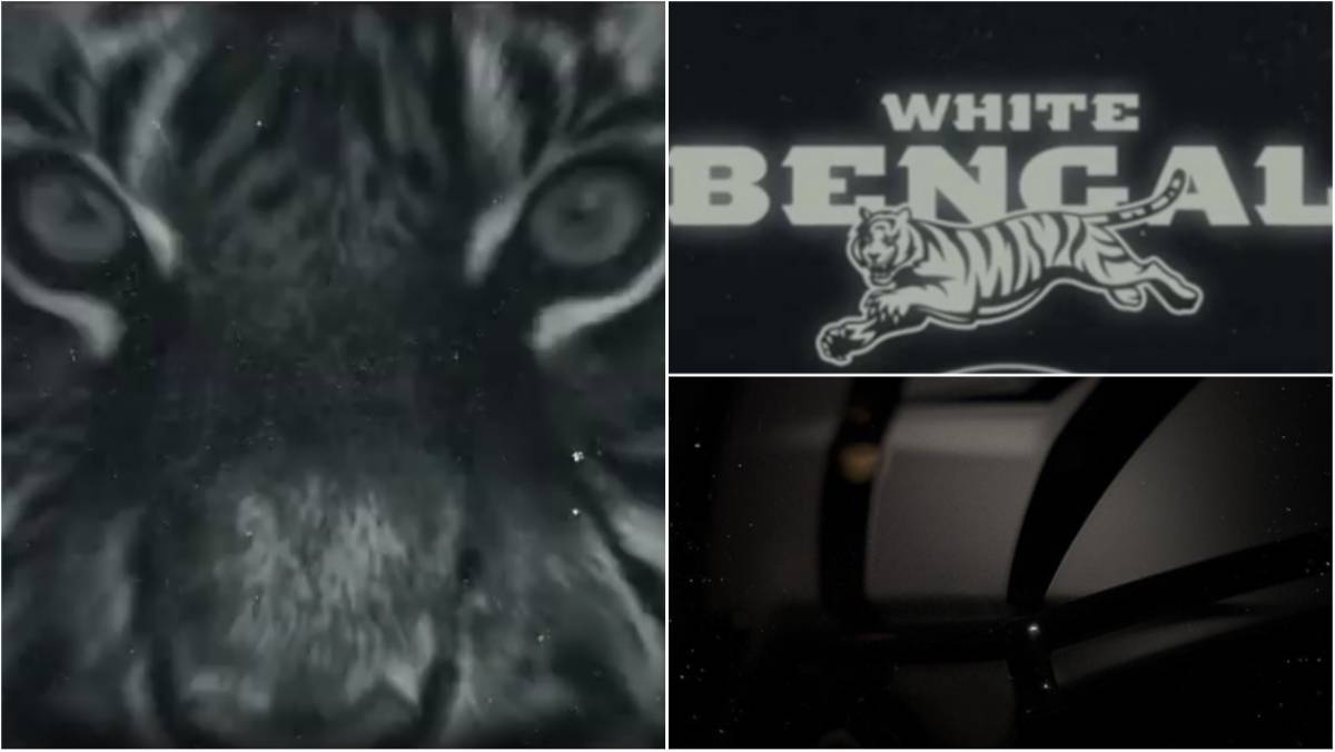 Cincinnati Bengals teaser video