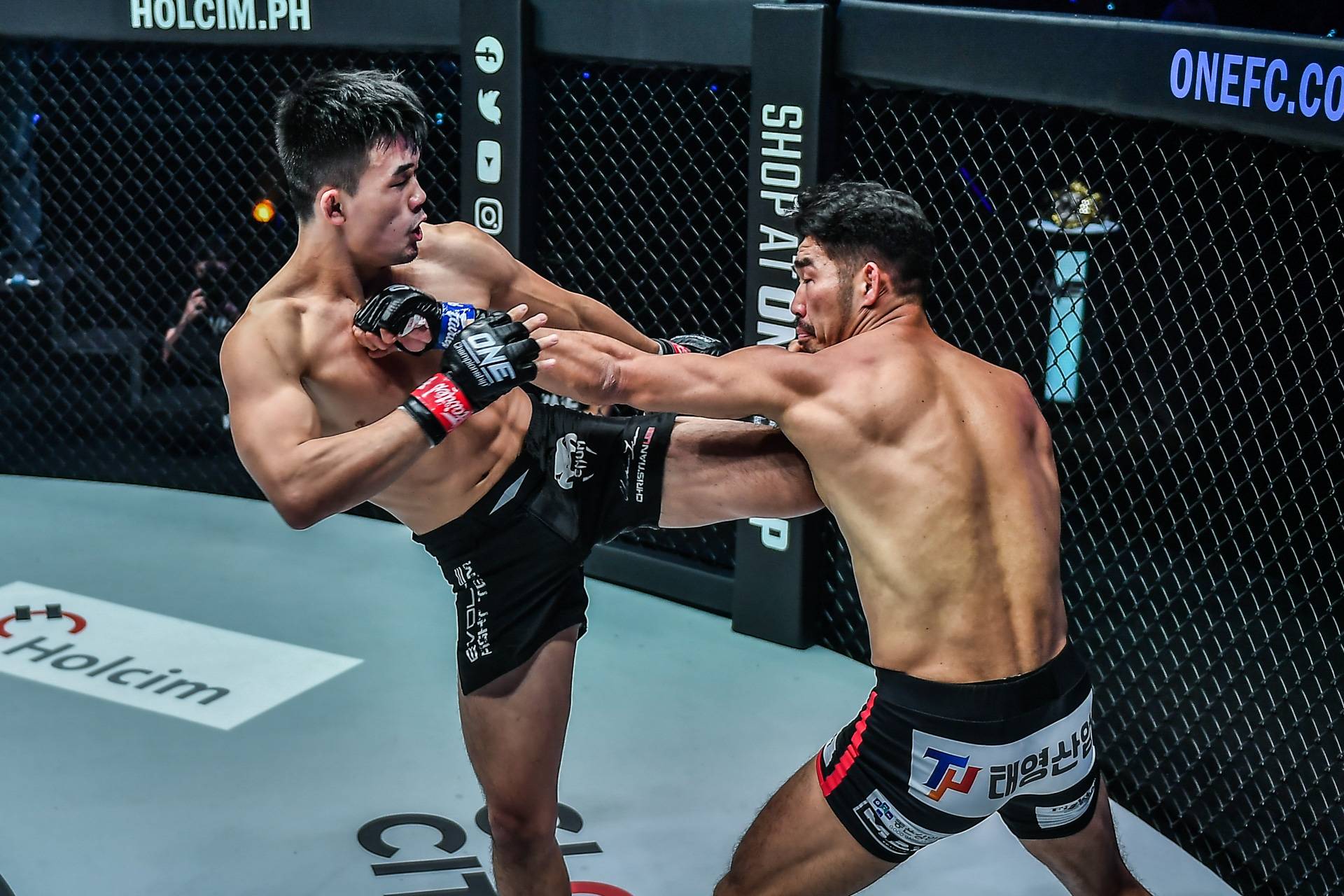Christian Lee ONE FC Fight