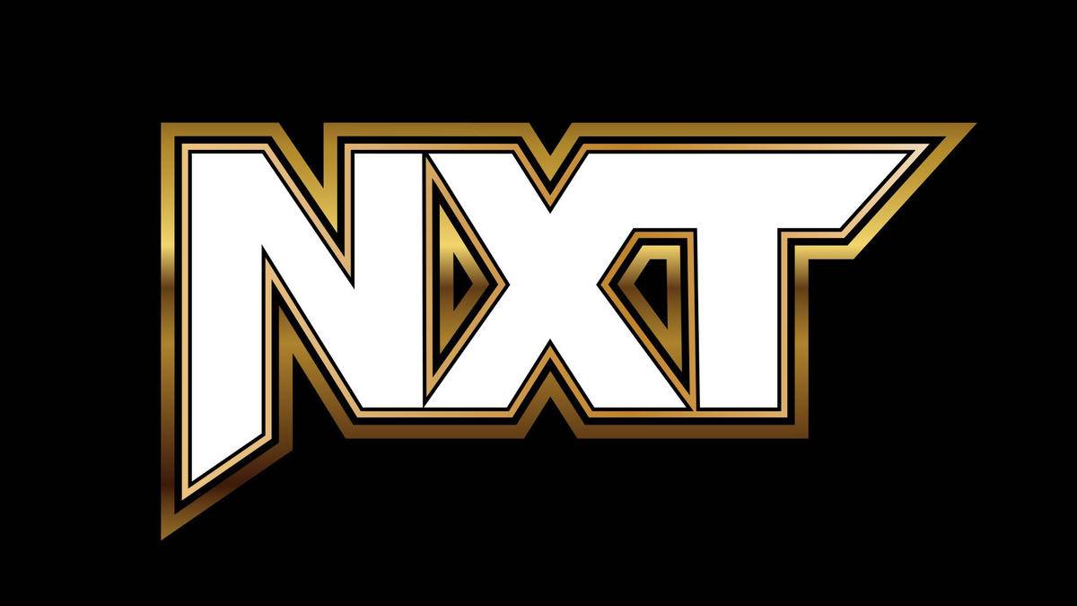 A new logo for WWE NXT was revealed during last night's show
