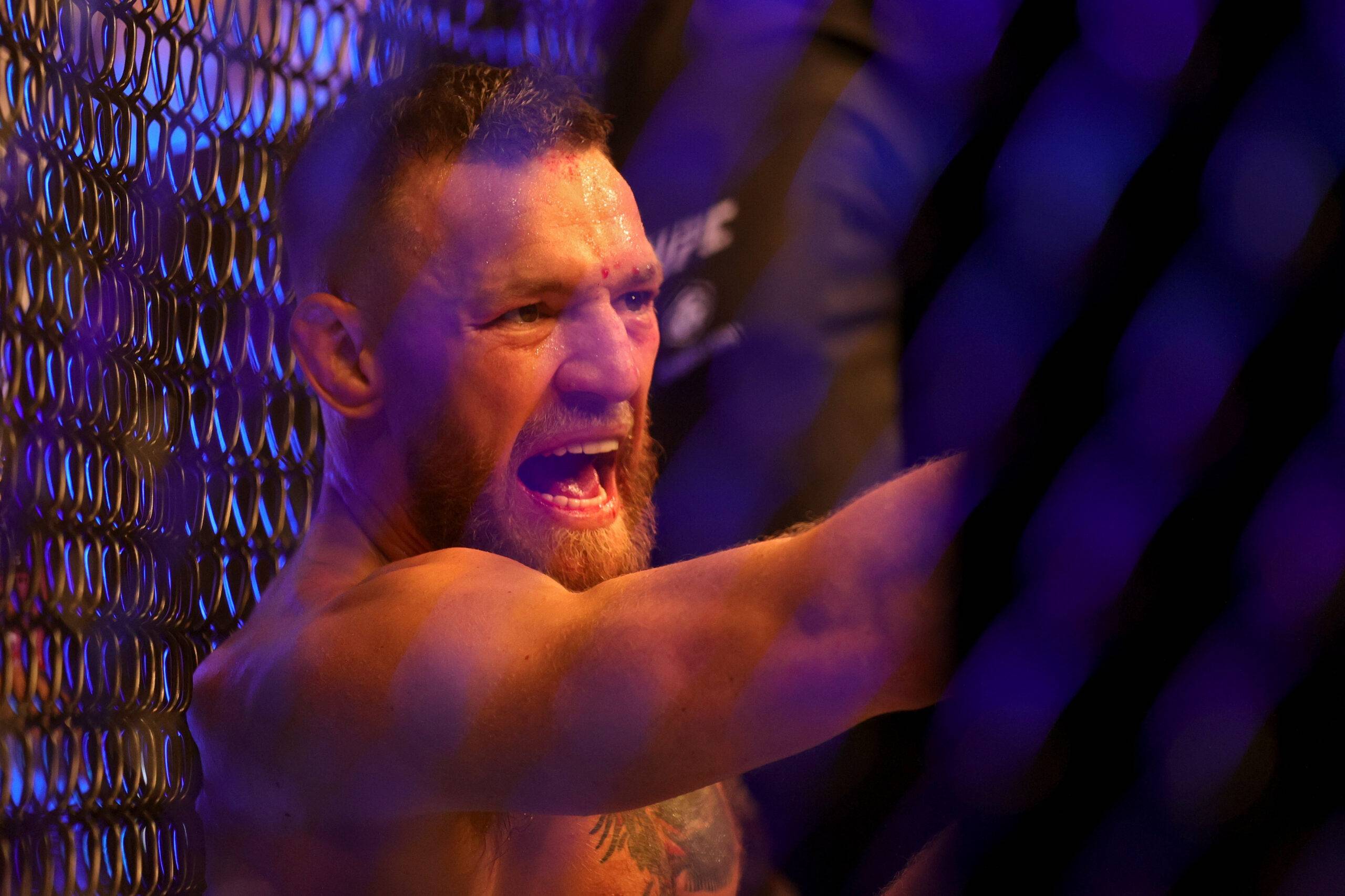 Michael Bisping vs Conor McGregor is the gift that keeps on giving!